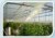 liquid fertilizing_3